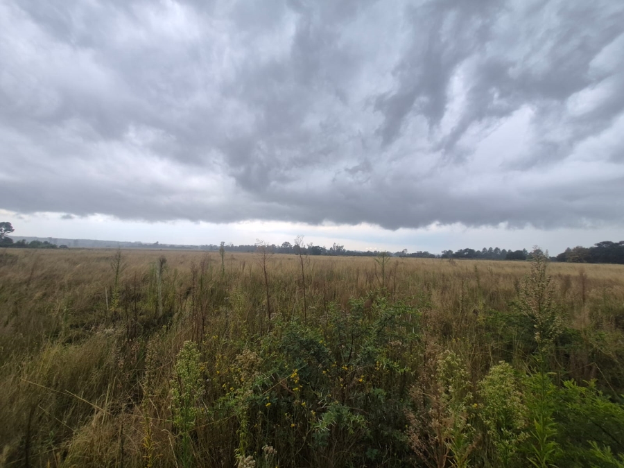 0 Bedroom Property for Sale in Vaalpark Free State